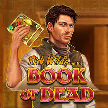 Book of Dead slot